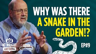 Questions on Science Evolution and Genesis with your favourite theologian  Ask NT Wright Anything [upl. by Karena]