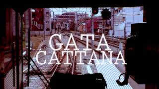 Gata Cattana  Atlanta [upl. by Zeiger]