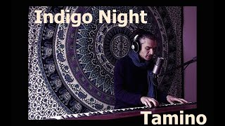 Indigo Night  Tamino Cover [upl. by Roehm]