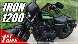 2021 Sportster Iron 1200 Review and Test Ride The Last Evo Iron 😣 [upl. by Nanreh]