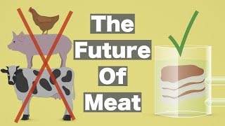 The Future of Meat [upl. by Sivart]