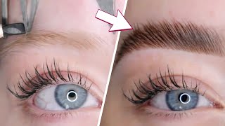 Microblading Eyebrows Step By Step  Brow Transformations [upl. by Adnuahs]