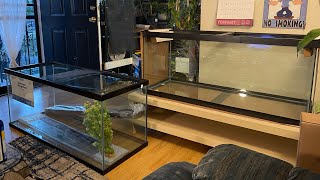 Petco vs Petsmart 75 Gallon Comparison [upl. by Airolg65]