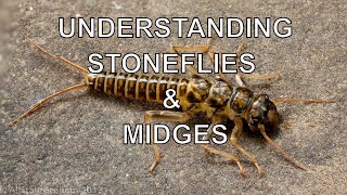 Understanding Stoneflies amp Midges with Tom Rosenbauer [upl. by Alisander]