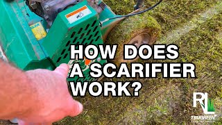 HOW DOES A SCARIFIER WORK  RICH LAWNS [upl. by Prisilla]