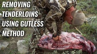 Removing Tenderloins Using Gutless Method  Mule Deer [upl. by Akimrej]