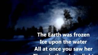 Winter Light  Tim Finn Lyric Video [upl. by Ayaladnot]