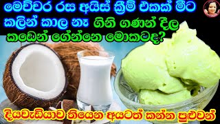 පොල්කිරි මේ තරම් රසයිද කඩේ අයිස්ක්‍රීම් මොකටද මෙහෙම සුපිරියට හදාගන්න Vegan Ice Cream Coconut milk [upl. by Jamey]