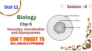 Biology Std 11 chp5 cell structure and organisation  Session8 vacoules glyoxysomes Mh board [upl. by Adrahc]