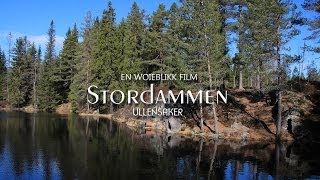 Stordammen på Borgen [upl. by Kindig]