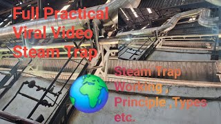 Steam Trap Working Types Principle Which Type Of Steam Trap Mostly Used in Company Best Video 🌍 [upl. by Klayman]