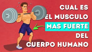 Descubre cual es el MUSCULO mas FUERTE del cuerpo humano [upl. by Eletnahc]