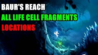 Baurs Reach All Life Cell Fragments Locations Ori and the Will of the Wisps [upl. by Kohl]