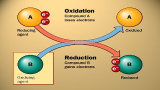 Oxidation and Reduction  22 MCQs for Paper 2 Revision  Cambridge IGCSE Chemistry [upl. by Assirual]