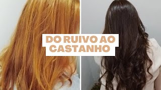 DO RUIVO AO CASTANHO [upl. by Aihseya]