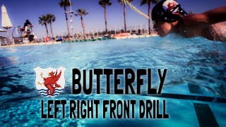 Butterfly Left Right Front Preview [upl. by Akenat]