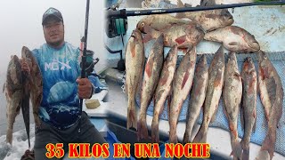 VELAMOS LA CABRILLA  35 KILOS EN UNA SOLA NOCHE  Tablita Fishing [upl. by Gninnahc]