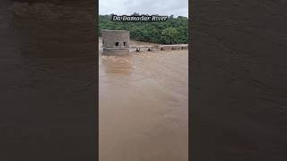 Damodar River Overfull Water From Jharkhand djdabluofficial youtube shorts [upl. by Hayyim]