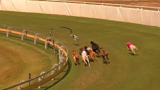 Bundaberg22072024Race6 [upl. by Ehrlich]