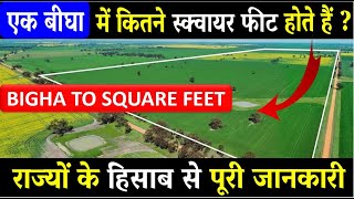 एक बीघा में कितने स्क्वायर फीट होते हैं  Ek Bigha Me Kitne Square Feet Hote Hain  Bigha To Acre [upl. by Uhile]