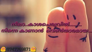 Neelakasha cheruvil song with lyrics നീലാകാശ ചെരുവിൽ [upl. by Enaud961]