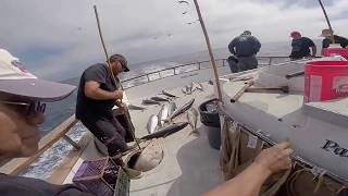 Yellowtail fishing on the Pacific Islander Sept2314 [upl. by Anu]