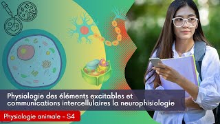 Physiologie des éléments excitables et communications intercellulaires la neurophisiologie [upl. by Adnala]