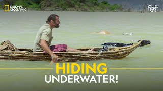 Hiding Underwater  Primal Survivor  हिन्दी  Full Episode  S7  E3  National Geographic [upl. by Abijah]