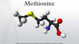 Methionine [upl. by Temp866]