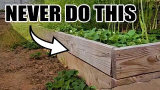 7 Beginner Raised Bed Garden Mistakes to Avoid [upl. by Urbanna]