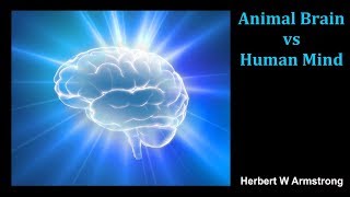 Animal Brain vs Human Mind by Herbert W Armstrong [upl. by Oak15]