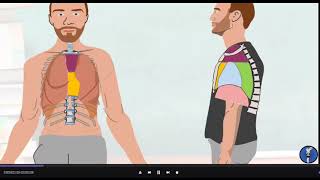 1  anatomy of thoracic cage  anatomy off pericardium  anatomy of Heart [upl. by Yetnruoc]