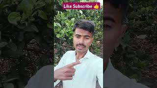 👍 Mala atak karav punyat song music vlog shorts [upl. by Ateinotna]