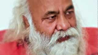 Intervista a Swami Shankarananda Giri [upl. by Eibbor881]