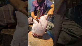 Amazing Hamour Fish Cutting Skills In Bangladesh Fish Market By Expert Cutter shorts [upl. by Kisor727]