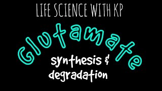 GLUTAMATE Synthesis amp DegradationVlog19 [upl. by Fidellas]