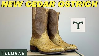 Tecovas quotThe Wyattquot Cedar Ostrich Cowboy Boot Review [upl. by Anek947]