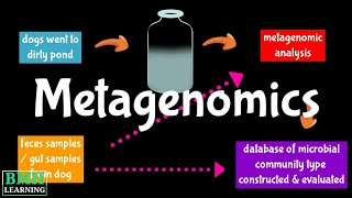 Metagenome  Metagenomics  Metagenomics Workflow [upl. by Laeno]