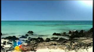 Corralejo in Fuerteventura Travel  Holidays  Pleasure Beach amp Weather Canary Island [upl. by Jaqitsch]