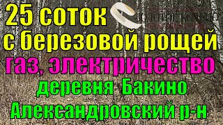 Участок 25 соток в березовой роще в деревне Бакино Александровский район Владимирская область [upl. by Llehsam24]