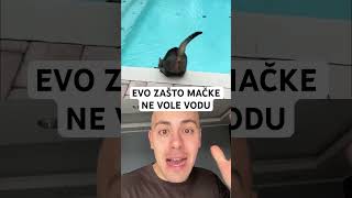 Evo Zašto Mačke Ne Vole Vodu 😮 [upl. by Streeter]