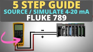 How To Use a Process Meter  5 Step Guide to Source  Simulate 420mA [upl. by Yanaton]