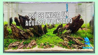 ACUARIO PLANTADO y RUTINA inicial para conseguir el mejor resultado [upl. by Gosnell]