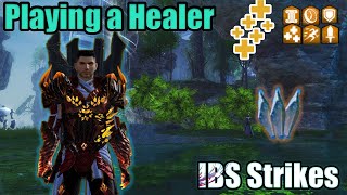 Guild Wars 2 How to Heal IBS Strikes [upl. by Ibib]