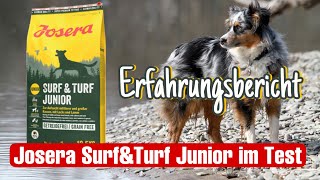 Hundefutter Test  Trockenfutter  Surf amp Turf JUNIOR [upl. by Naahsar]