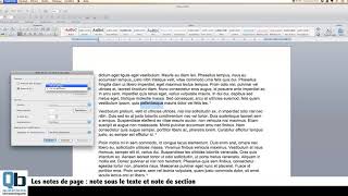 Comment insérer une note de bas de page sous word  partie 2 [upl. by Lita]