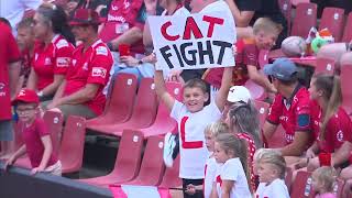 Currie Cup Semi Final  Lions Highlights  Lions vs Cheetahs [upl. by Filide]