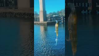 First Cast challenge Over 3 days wind Nw 1520 37 gust SUBSCRIBE casting fishing [upl. by Sharline715]