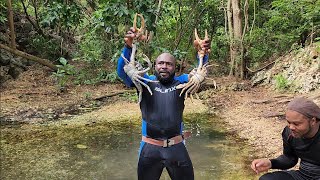 spearfishing turn into spear mud crab 🦀 clean and cook before hurricane Beryl [upl. by Eichman871]