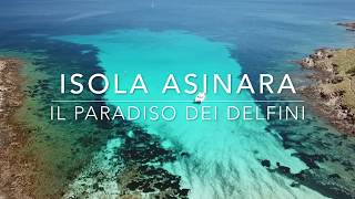 Isola Asinara il paradiso dei delfini [upl. by Miof Mela]